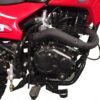 Hawk 250 (230cc,,5 Speed,Clutch) - Image 4
